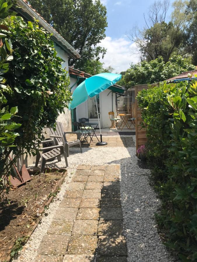 Appartement Entre Ocean Et Montagne 15Bis Avenue De Montbrun Anglet Kültér fotó